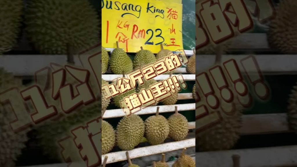 又苦又香的猫山王